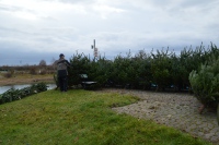 Der Baumverkauf 2025