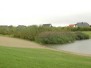 Schilfschneiden