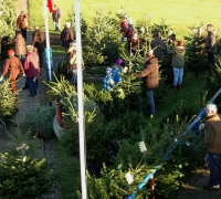 k-Weihnachtsbaumverkauf 0001