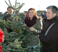 k-Weihnachtsbaumverkauf 0009
