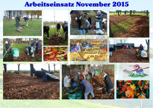 Arbeitseinsatz November 2015