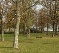 Laubfegen_0019