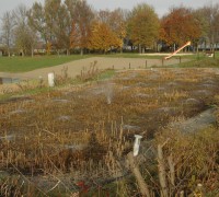 Laubfegen_0020