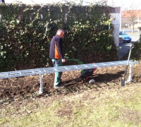 Bu-Hecke-3-17-01