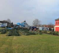 Weihbaum-12-17 013