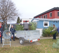 Weihn-25-60