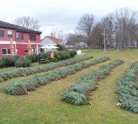Weihn-25-94