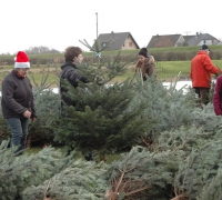 3. Weihnachtsbaumverkauf_0004