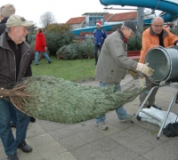 3. Weihnachtsbaumverkauf_0007