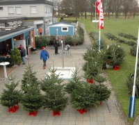 3. Weihnachtsbaumverkauf_0028