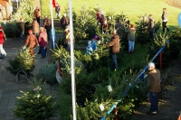 Weihnachtsbaum